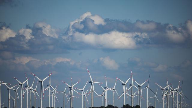 Elektrizität: Weniger Windräder in Schleswig-Holstein gebaut als 2023