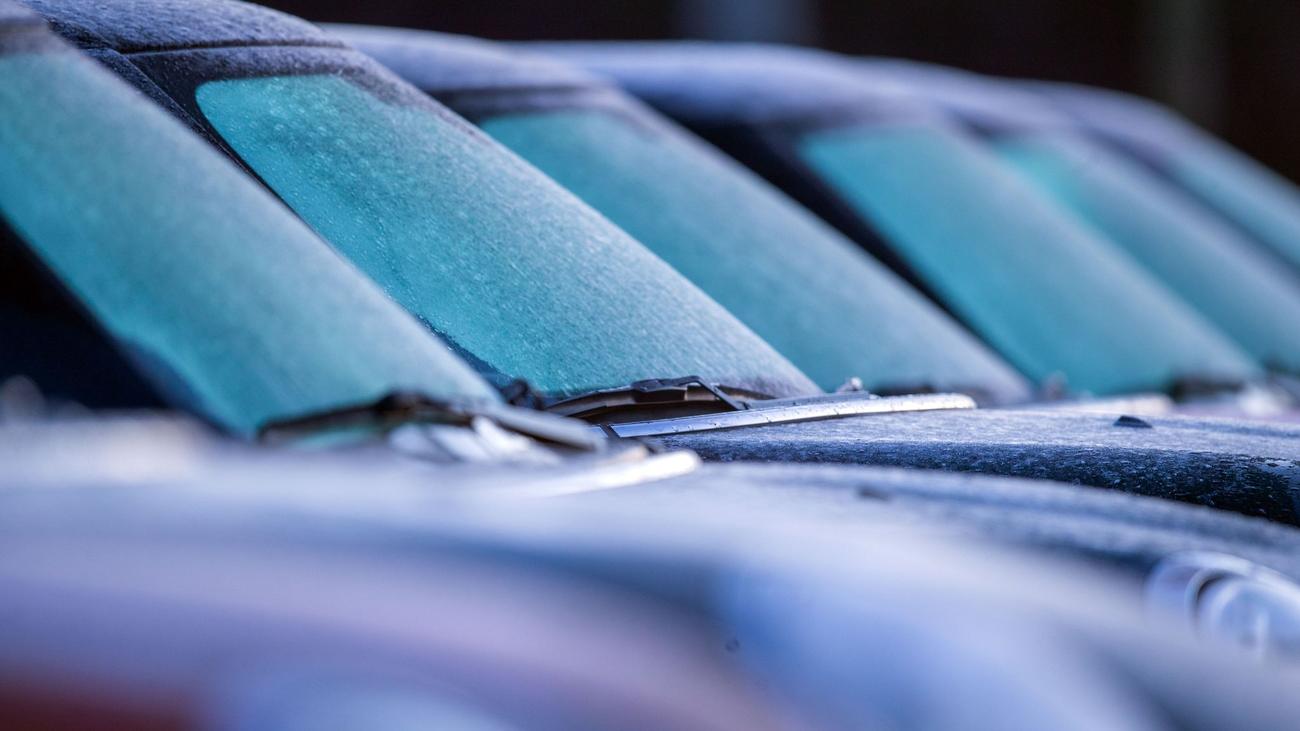 Verkehr: Öfter alternative Antriebe bei neuen Autos