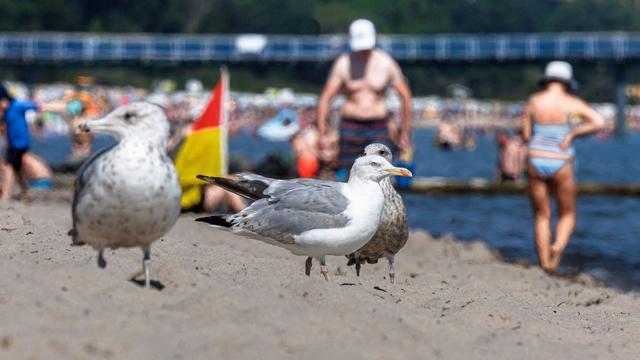 Ferienbeginn: Schüler und Lehrer in MV starten in Sommerferien