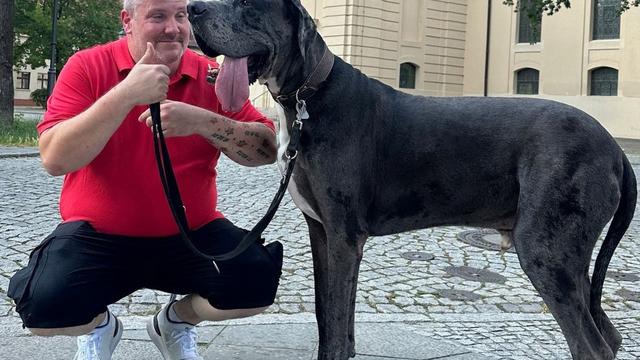Tiere: Riese Ramses - Hund aus Zossen ist rekordverdächtig groß
