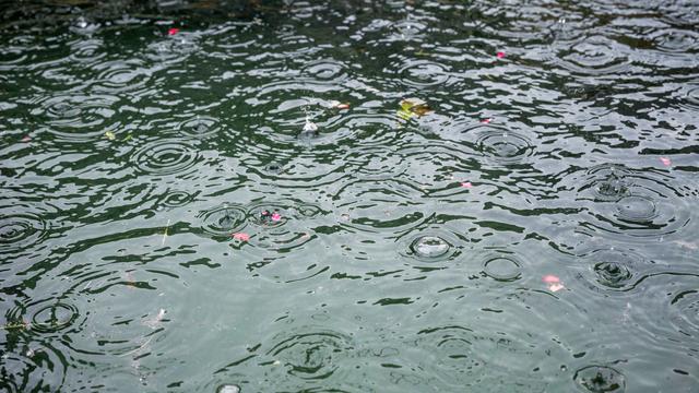 Wetter: Kaum Schäden trotz Wind und Starkregen in Mitteldeutschland