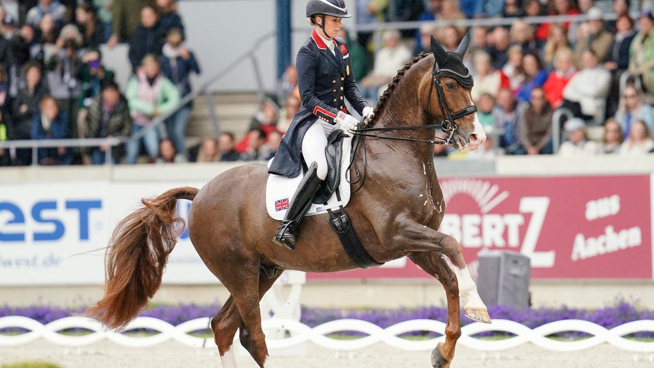 Store Spiegel - Reiten unkaputtbar Halle Dressur Kontrolle Neu