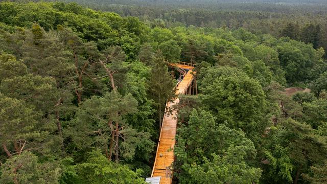 Umwelt und Natur: Klimawaldpfad im Nürnberger Tiergarten eröffnet
