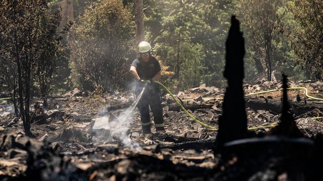 Brandschützer: Digitale Karten für Waldbrandbekämpfung starten in Hessen