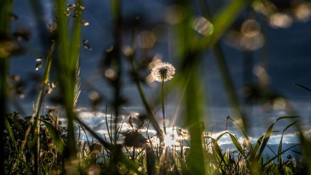 Wetter-Bilanz: Juli in Hessen war sonnig und überdurchschnittlich nass