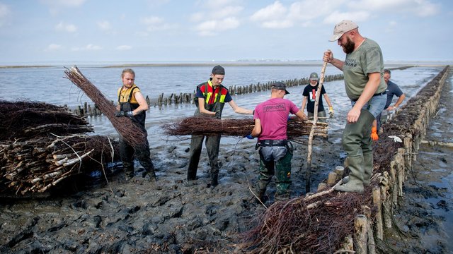 Ausbildung im Wattenmeer: Wasserbau-Azubis lernen Küstenschutz in Ostfriesland