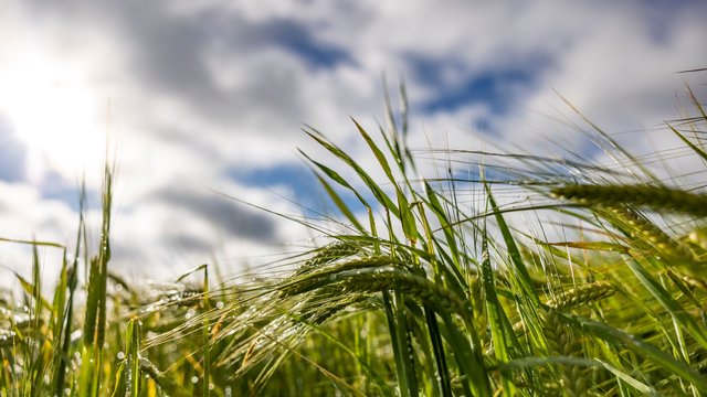 Wetter: Wechselhaftes Wetter am Wochenende in NRW erwartet