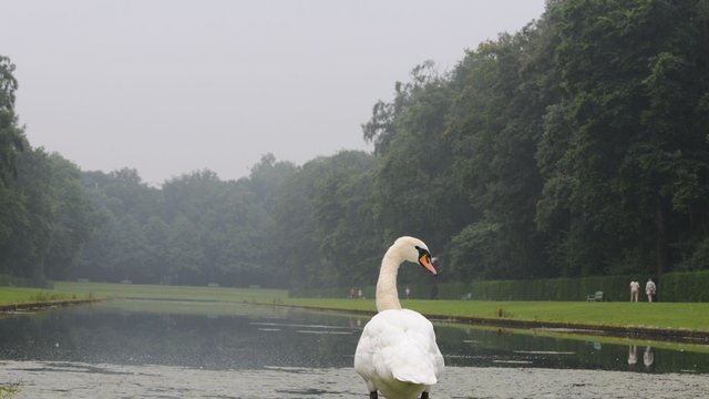 Wetter: Nach Gewittern am Wochenende: Nächste Woche schönes Wetter