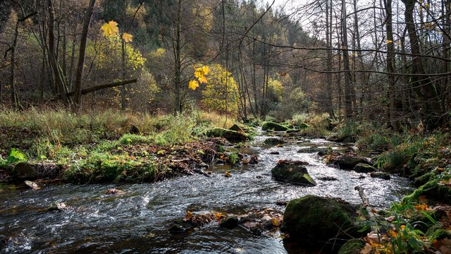 Umstrittenes Projekt: Naturschützer wollen gegen Bau der Frankenwaldbrücken klagen
