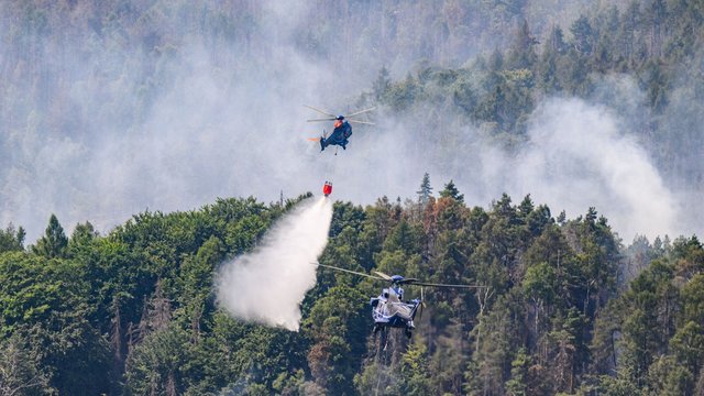 Umwelt: Zahl der Waldbrände in Sachsen auf ähnlichem Niveau wie 2023