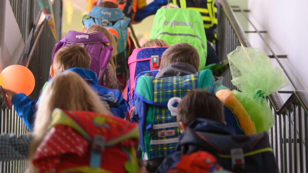 Education: 536,000 students start the new school year in Saxony