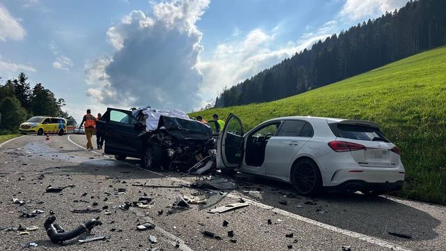 Rettungseinsatz: Drei Deutsche bei Unfall in der Schweiz ums Leben gekommen