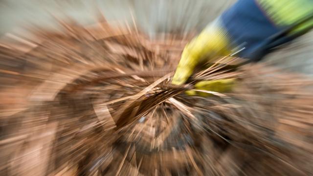 Kriminalität: Kabeldiebstähle nehmen in Sachsen-Anhalt zu