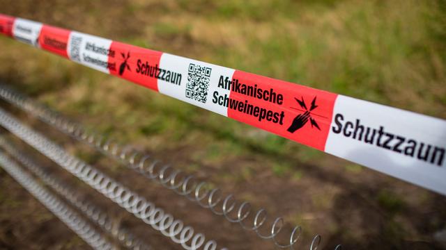 Tierseuchen: Verdachtsfall von Schweinepest in Baden-Württemberg