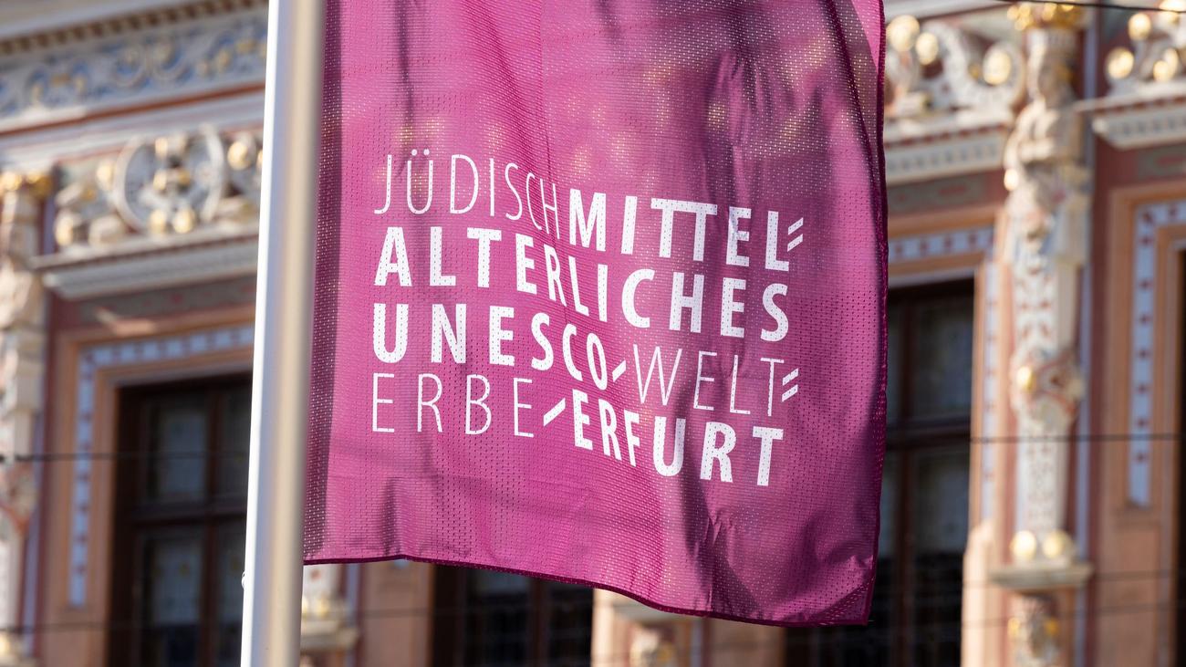 Why did the AfD party congress in Erfurt trigger city-wide unrest?