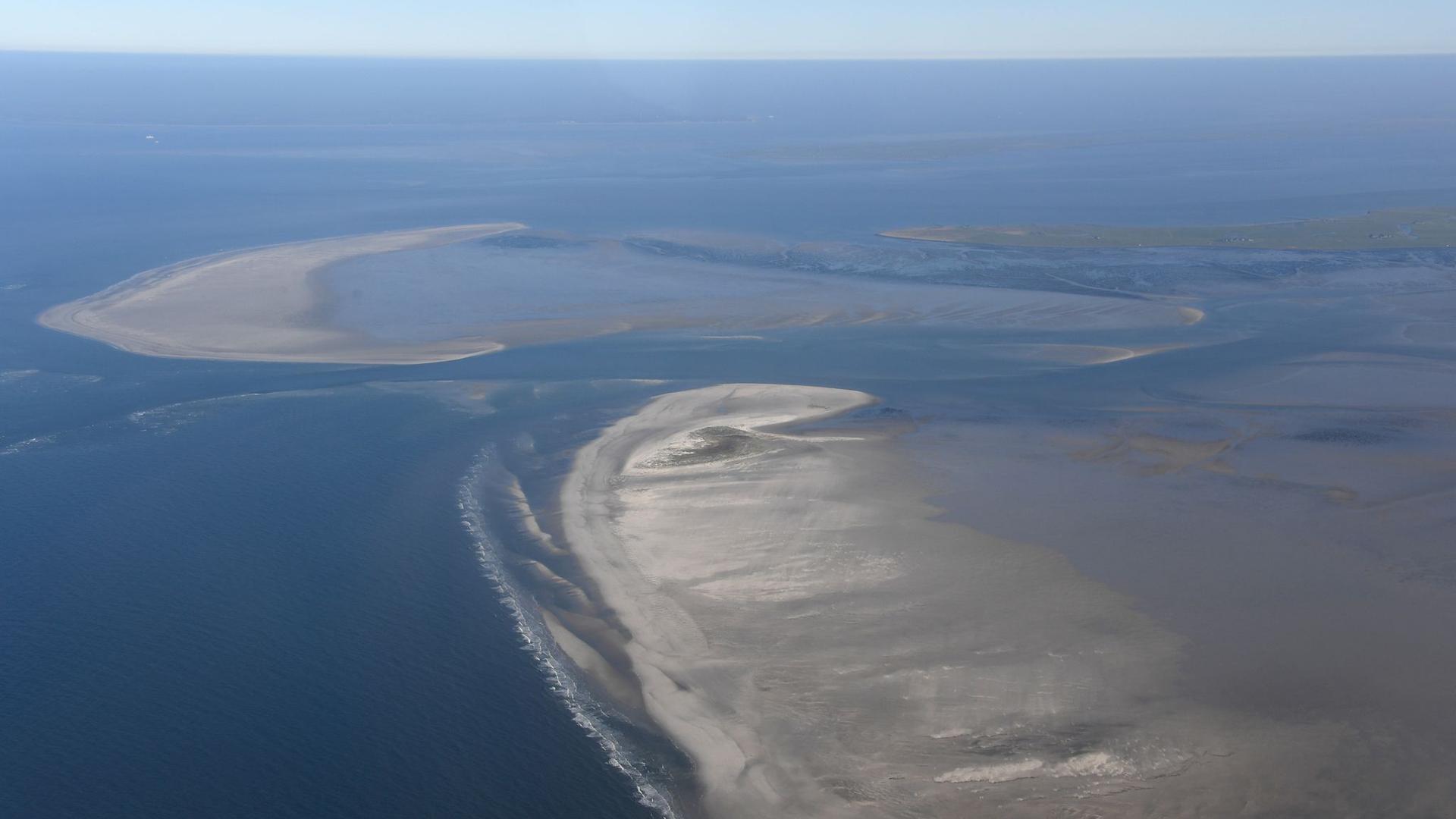 Nordseeküste: Klimawandel verändert Wattenmeer im Rekordtempo