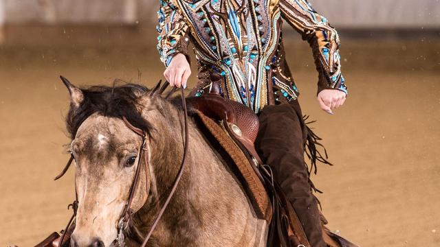 Westernreiten: Maria Till holt Silber und Bronze bei EM