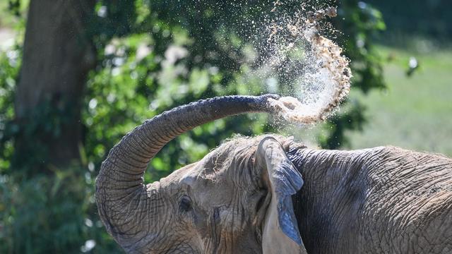 Deutscher Wetterdienst: Wechselhafter Sommer bringt Hitze und Unwetter nach Hessen