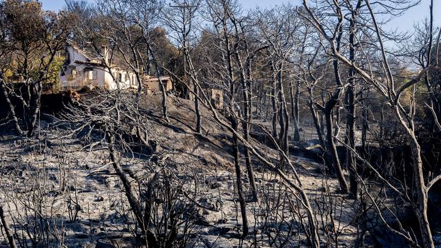 Griechenland: Großbrand bei Athen gelöscht - die Fragen bleiben