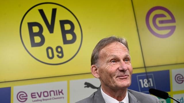 Bundesligist: Borussia Dortmund macht über 44 Millionen Euro Gewinn