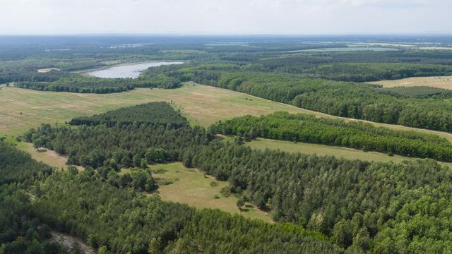 Warnung vor Waldbränden: Gefahr von Waldbränden hoch - Regen und Gewitter im Anmarsch