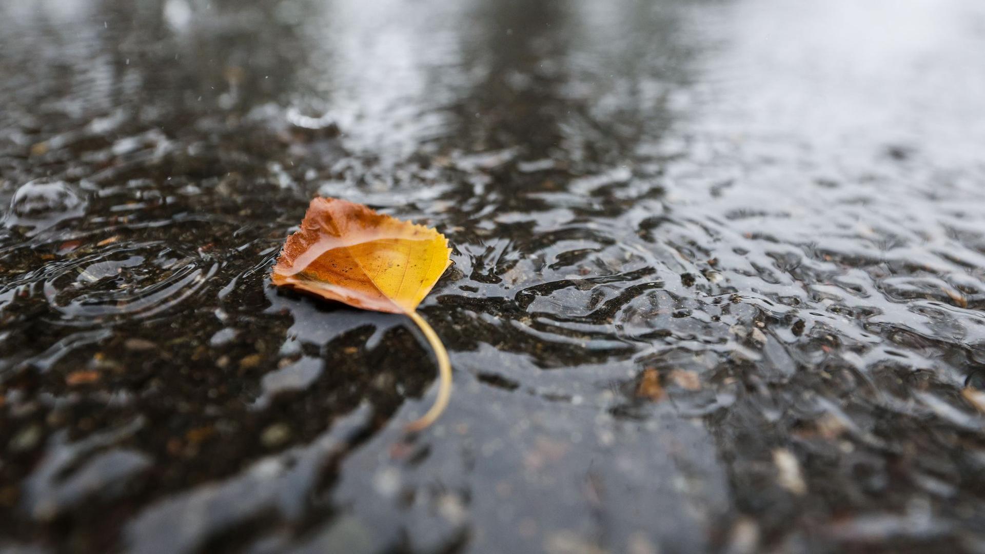 Wetter: Regen und kaum Auflockerungen in Niedersachsen und Bremen