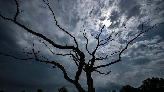 Wetter: Wolken und Gewitter - Woche startet freundlicher