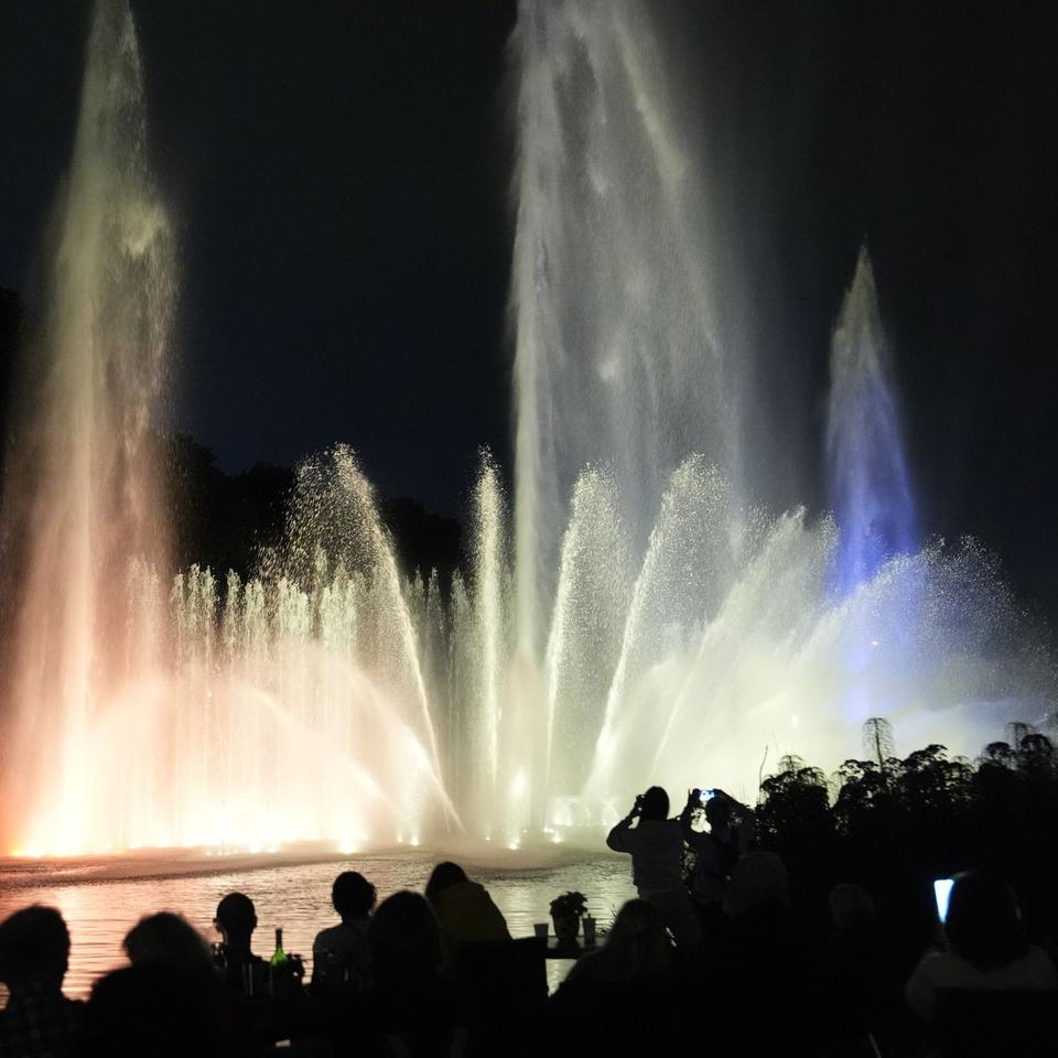 Musik, Wasser und Licht: Wasserlichtkonzerte in Planten un Blomen sind  Besuchermagnet | DIE ZEIT