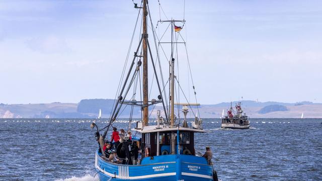 Fischerei: EU-Kommission will Fangmenge in der Ostsee kürzen