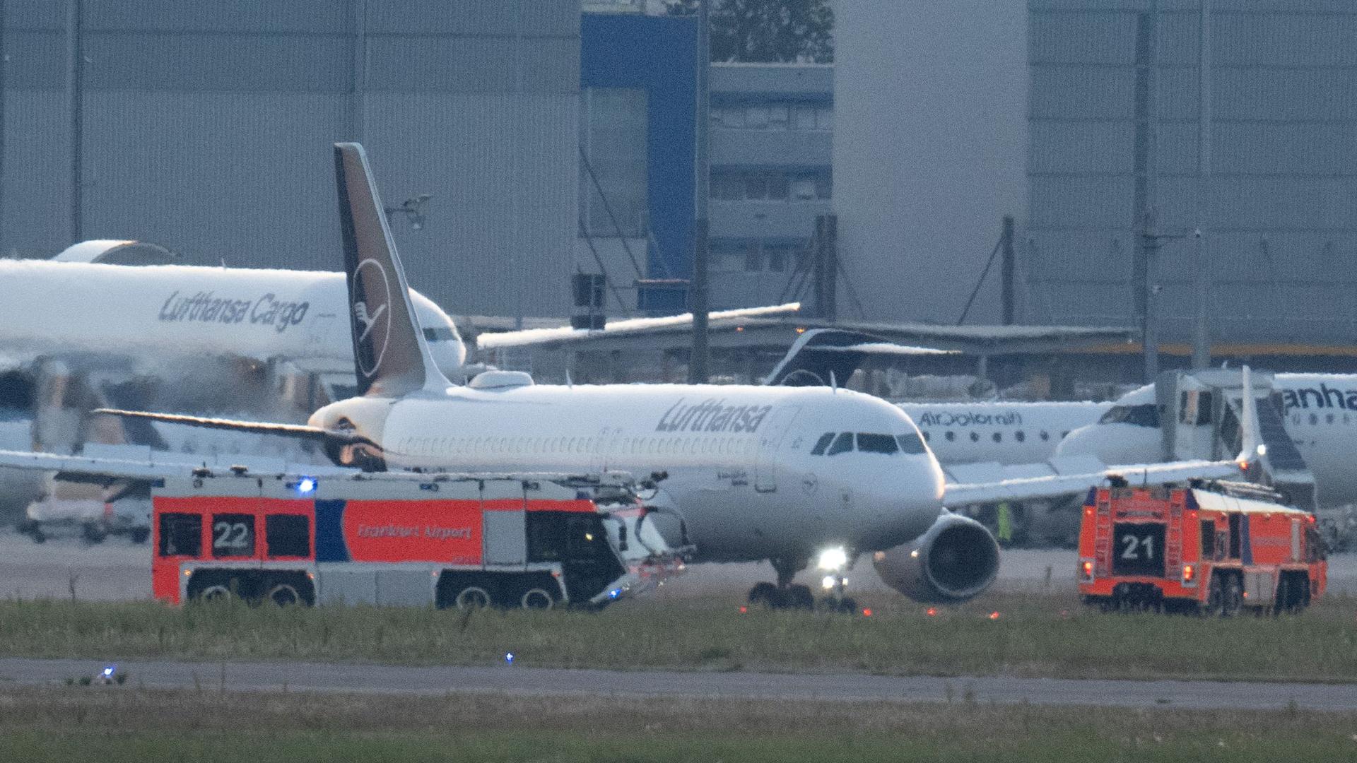 Auf Weg nach Berlin: Vogelschlag - Flugzeug kehrt zum Flughafen Frankfurt zurück