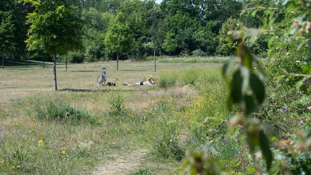 Wetter: Bis zu 34 Grad - Hitze in Rheinland-Pfalz und im Saarland