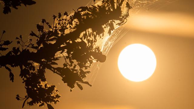 Wetter: Nach Hitze lokale Gewitter mit Starkregen erwartet