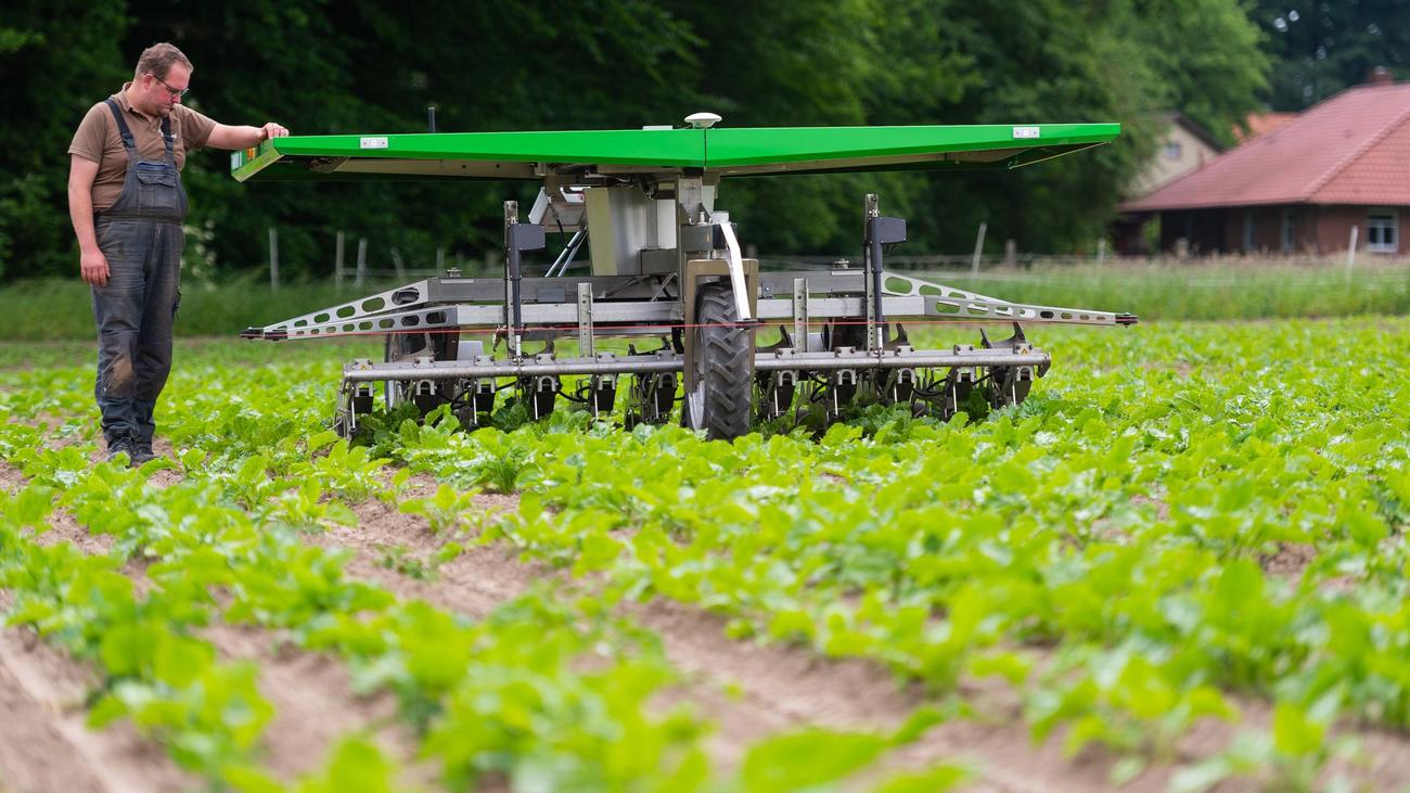 Parlement du Land de Basse-Saxe : les robots devraient rendre l’agriculture plus efficace