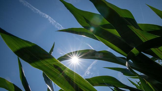 WEATHER: The weather service expects plenty of sunshine and high temperatures in Bavaria. (Archive image)