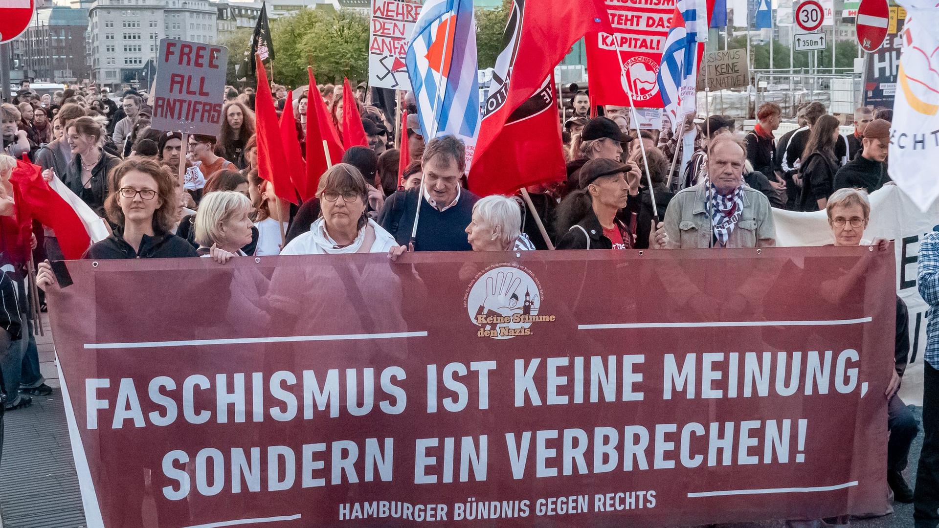 Proteste: Hunderte demonstrieren in Hamburg gegen AfD