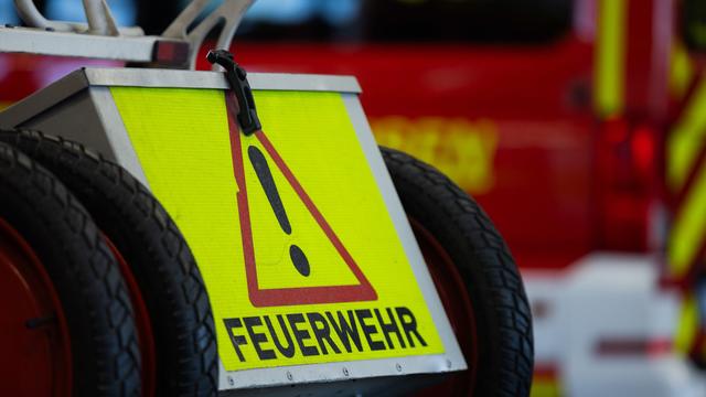 Tiere: Feuerwehr sucht vergeblich Schlange in einem See