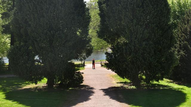 Park- und Gartenkultur: Aktionstag zu Klimawandel in historischen Gärten