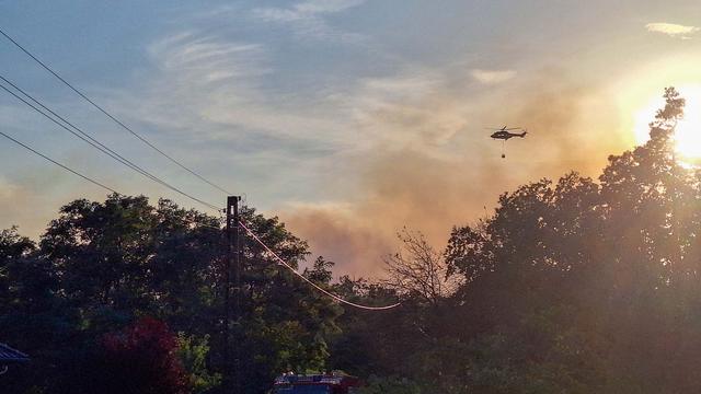 Brände: Waldbrand in Oranienbaum - Feuerwehr verstärkt Löscheinsatz