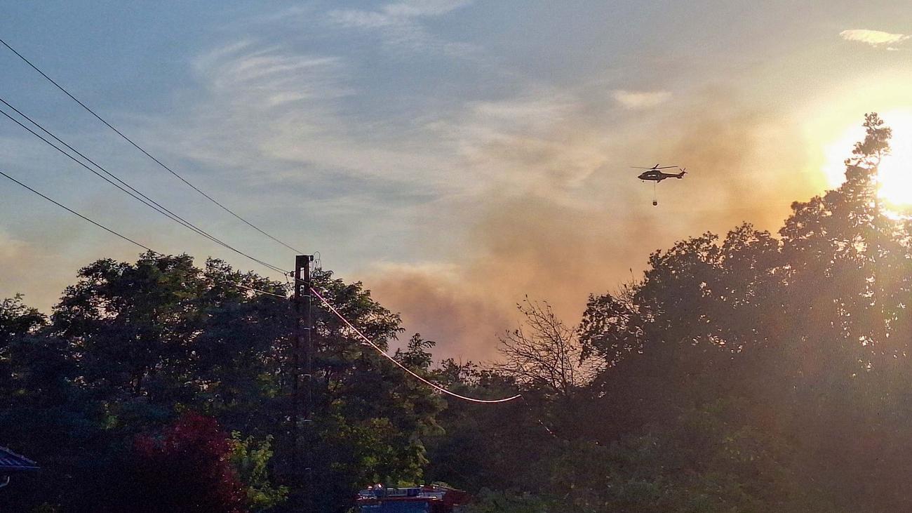 Incendies : Feu de forêt à Oranienbaum – les pompiers intensifient leurs efforts de lutte contre l’incendie