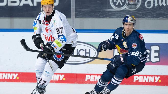 Eishockey: Markus Vikingstad (l.) erzielte den Ausgleich für die Fishtown Pinguins.