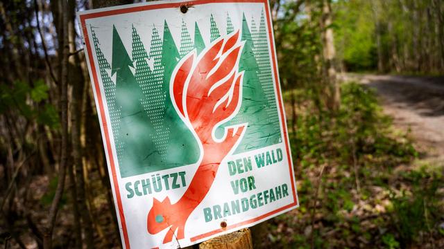 Nasser Sommer: Nur ein Waldbrand in Rheinland-Pfalz gemeldet