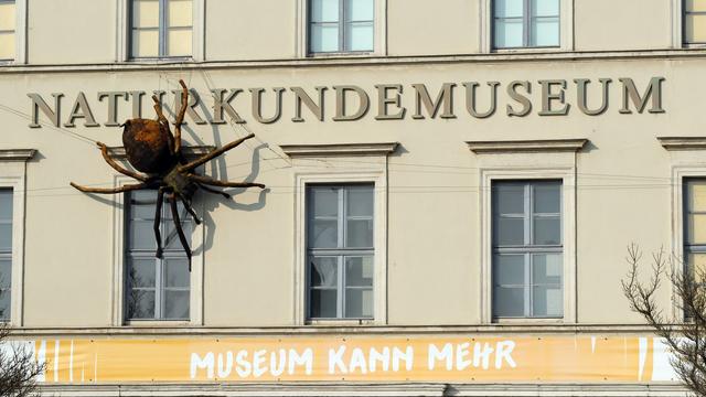 Kultur: Spatenstich für das neue Naturkundemuseum in Leipzig