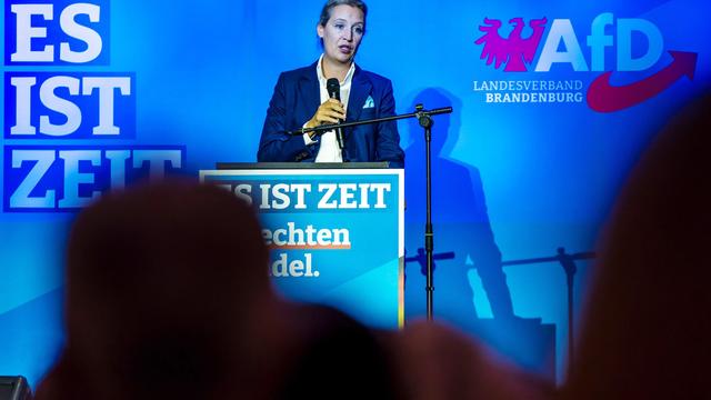 Wahlkampf: AfD-Chefin Weidel hofft mit Brandenburg-Wahl auf Zäsur