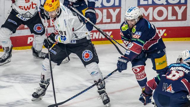 Champions League: Eishockey-Pinguins gewinnen Auswärtsspiel in Dänemark