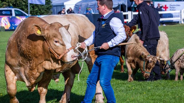 MV-Bauerntag: Bauern fordern verlässliche Rahmenbedingungen von Politik