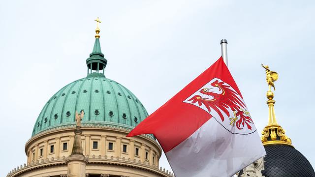 Landtagswahl: Brandenburg-Umfrage: AfD vor SPD - Gute Noten für Woidke