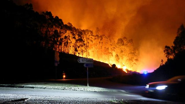 Feuer: Bereits vier Todesopfer bei Waldbränden in Portugal