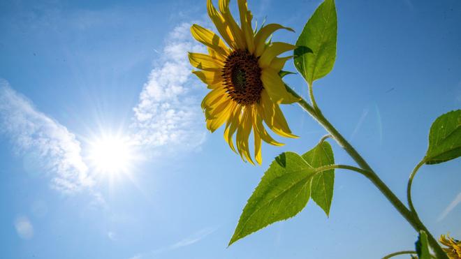 Wetter: In Hessen werden weiterhin sommerlich warme und sonnige Tage erwartet.