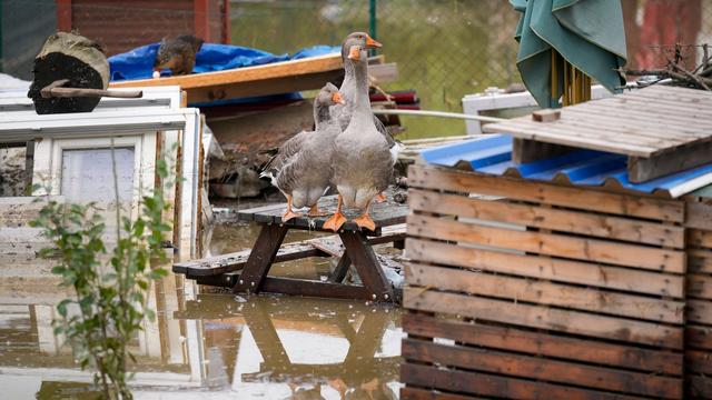 Hochwasser in Tschechien: Arche Nova hilft im tschechischen Hochwassergebiet