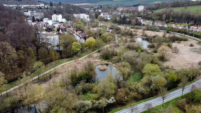 Vergehen im Wahlkampf: Bürgermeisterwahl ungültig - Bad Gandersheim muss neu wählen